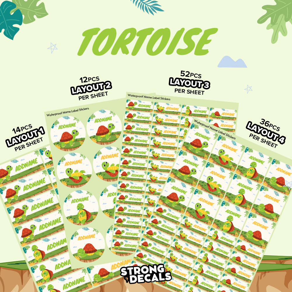 Tortoise